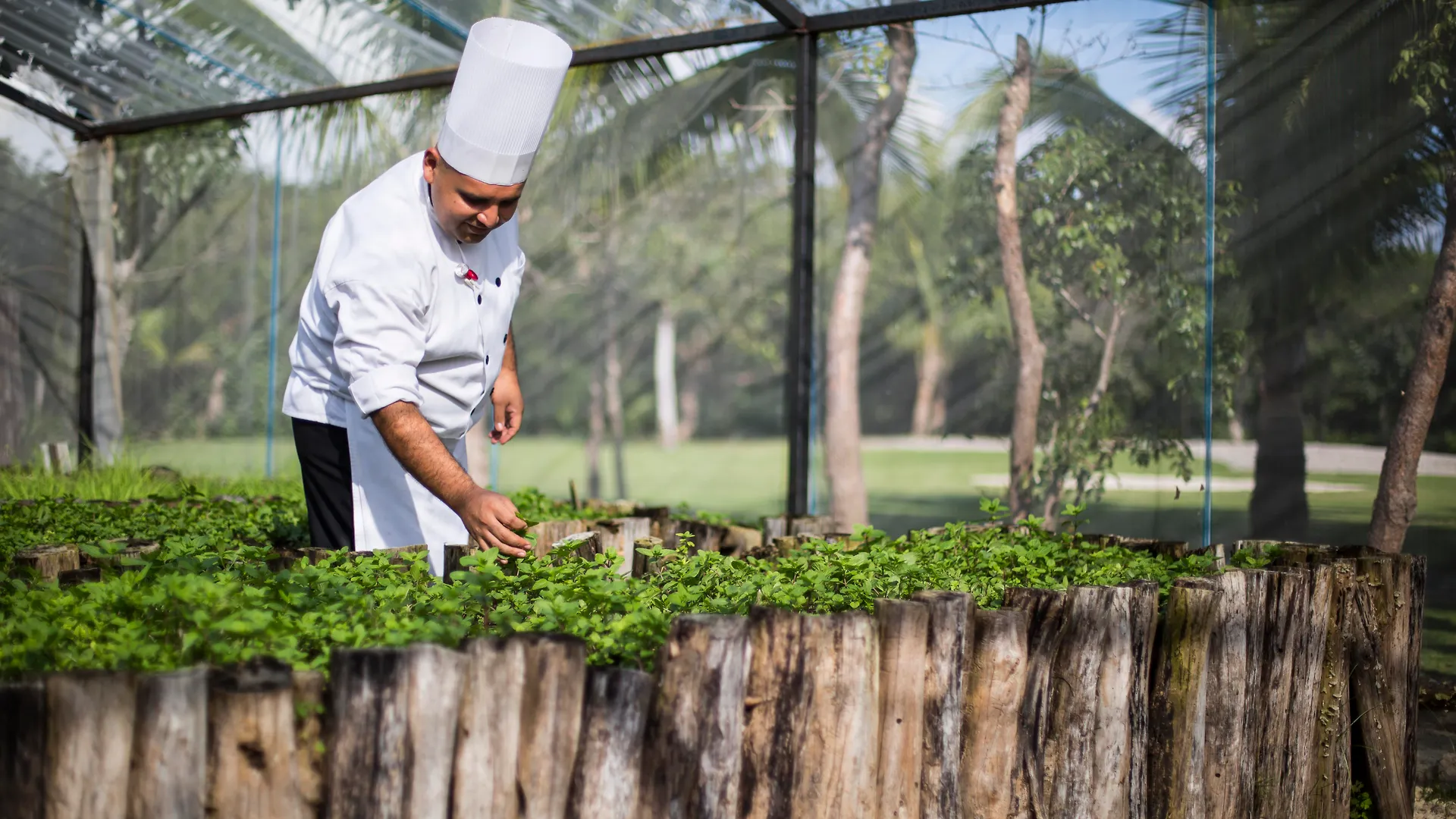 Grand Velas Riviera Maya (Adults Only) Playa del Carmen Resort